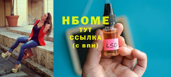 ECSTASY Пересвет