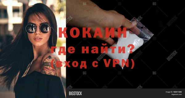 гидра Пестово