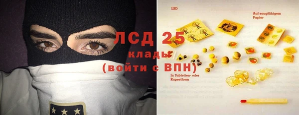 ECSTASY Пересвет