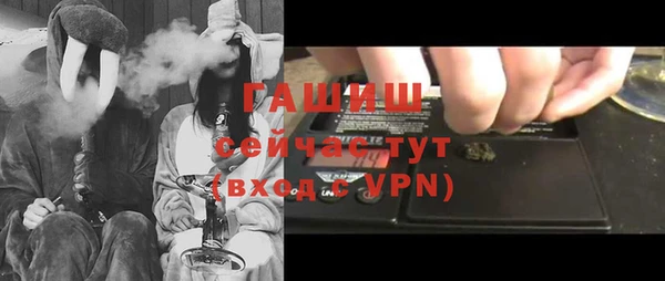 гидра Пестово