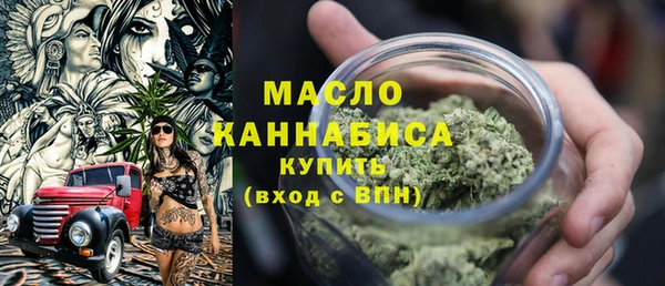 ECSTASY Пересвет