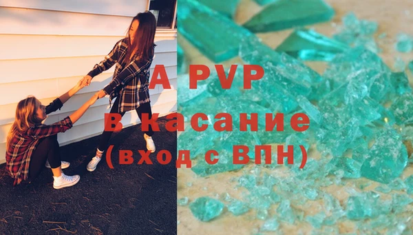 ECSTASY Пересвет