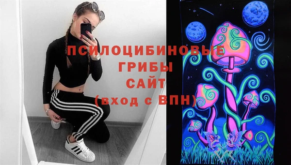гидра Пестово