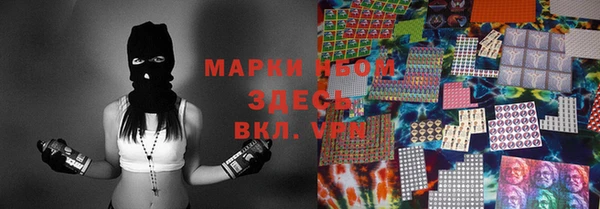 ECSTASY Пересвет
