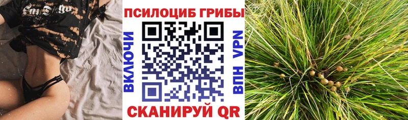 Псилоцибиновые грибы мицелий  купить   Южа 